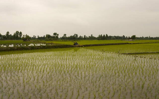 عمومية “نيوداب” تعتمد الحصول على قرض حسن من المساهم الرئيسي